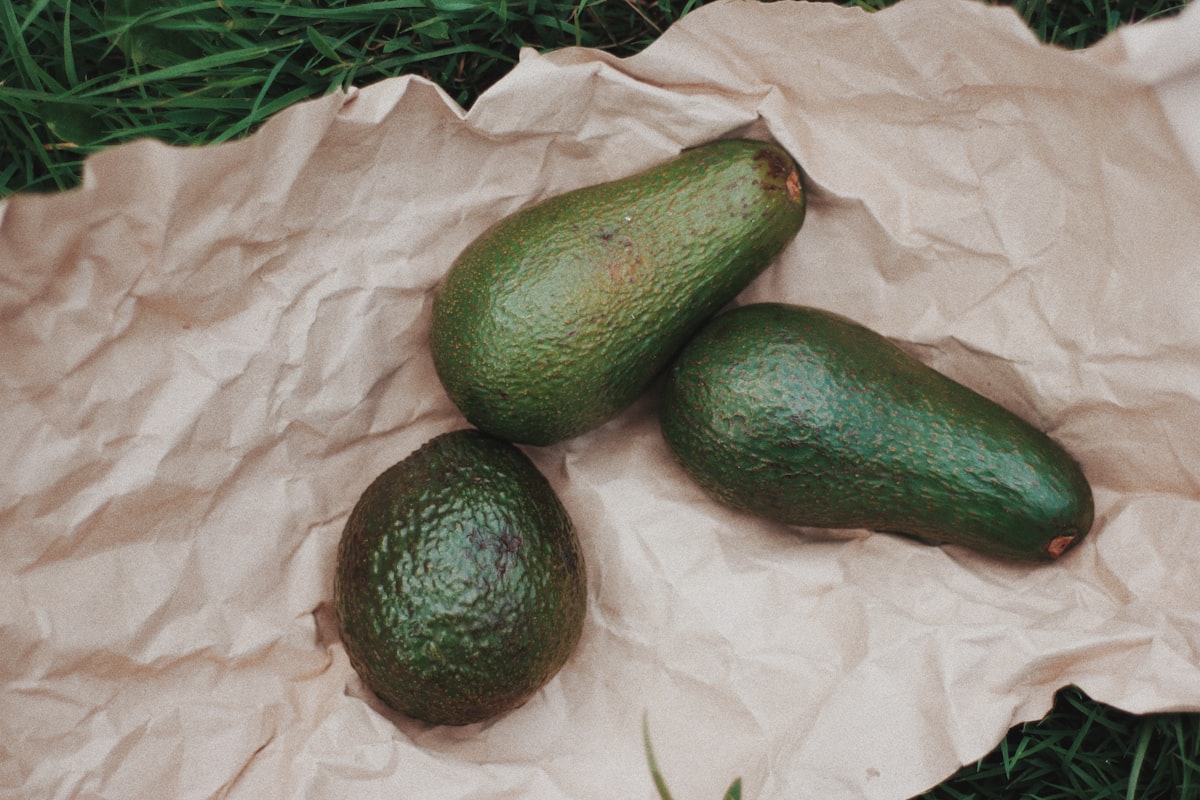 Ingredientes naturales para la regeneración de la piel